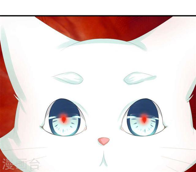 《天狐劫》第241话 不速之客 第40页