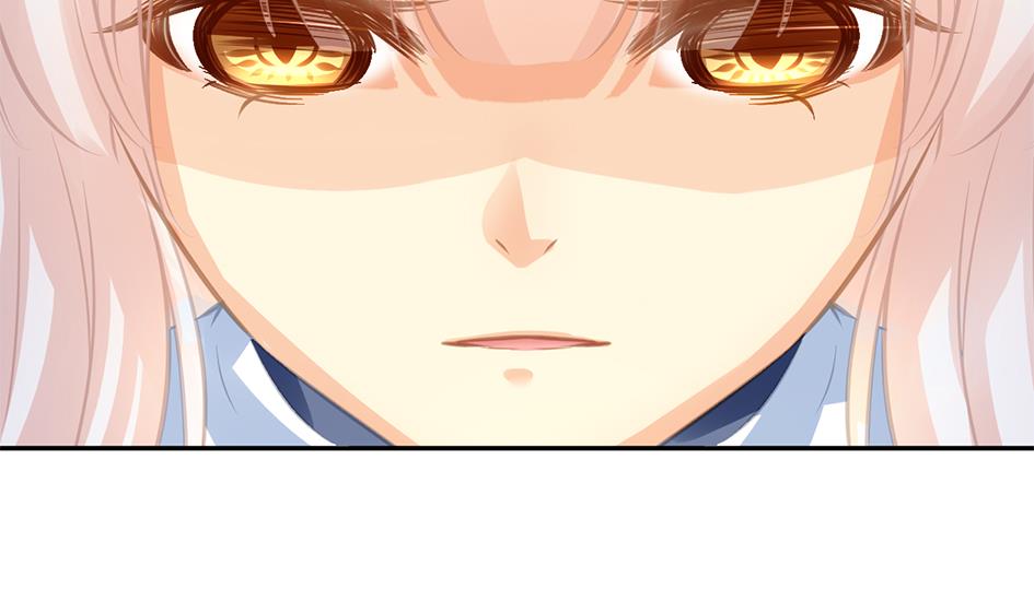 《天狐劫》第271劫 光灵根 第22页