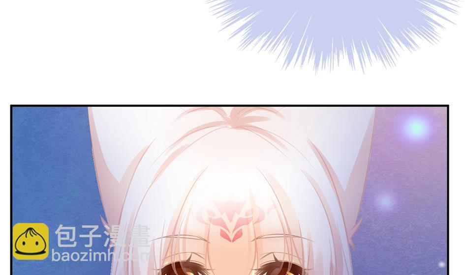 《天狐劫》第270劫 赌 第29页