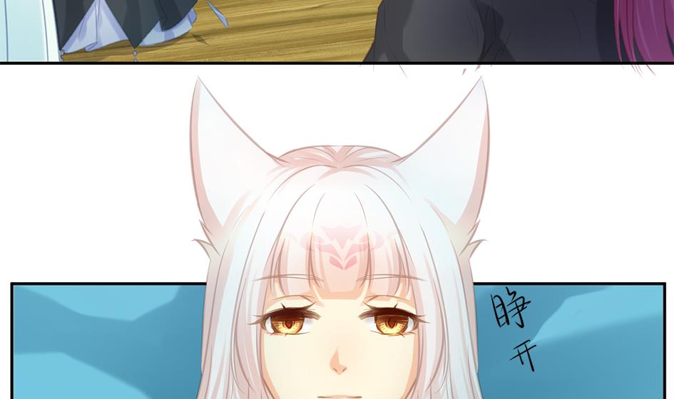 《天狐劫》第274劫 怪我们咯 第4页