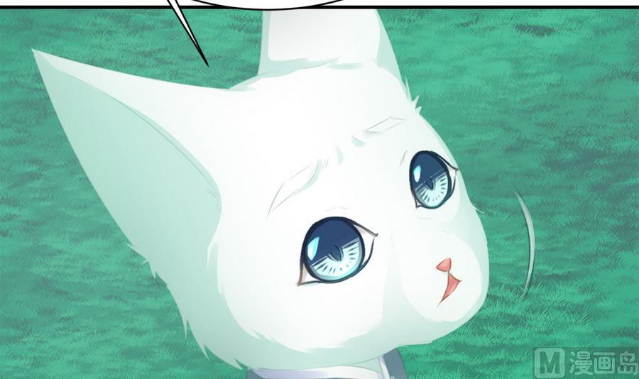 《天狐劫》第277劫 传承之地 第24页