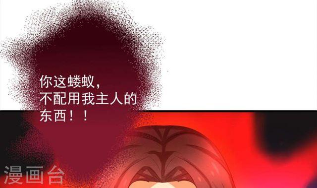 《天狐劫》第291劫 魔尊的胁迫 第13页