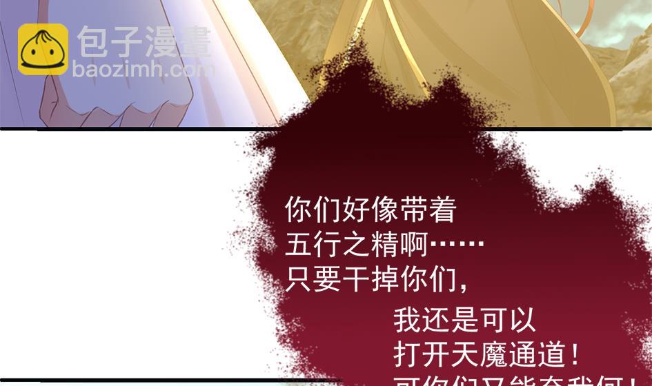 《天狐劫》第293劫 天劫 第13页