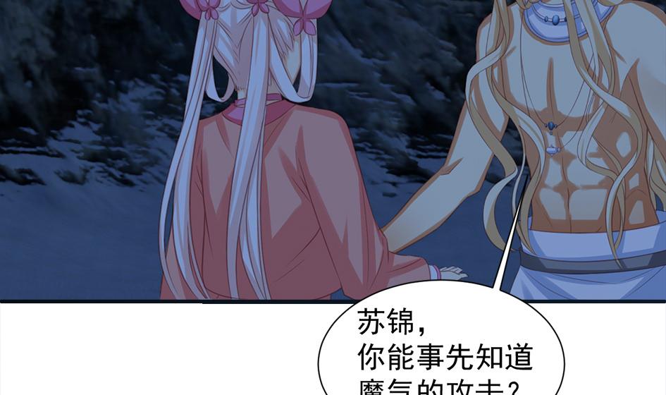 《天狐劫》第292劫 完整的传承 第20页