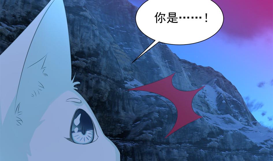 《天狐劫》第292劫 完整的传承 第38页