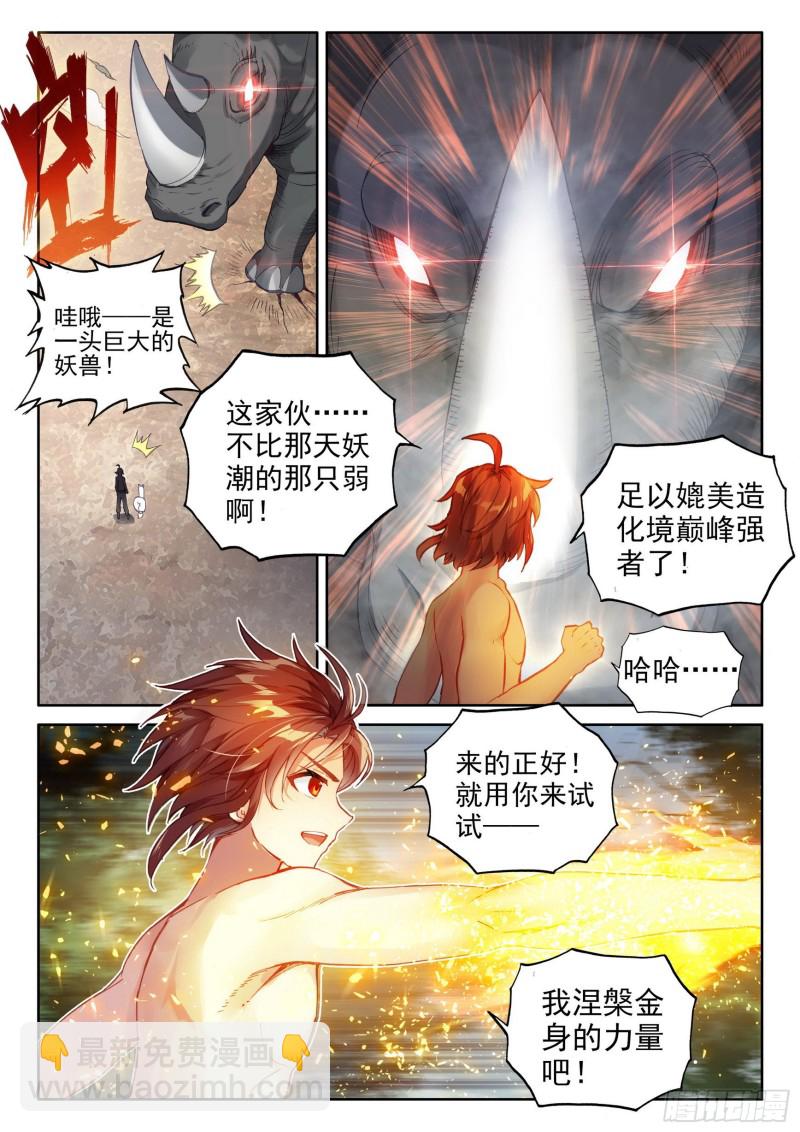 《武动干坤》112 修炼金身 第12页