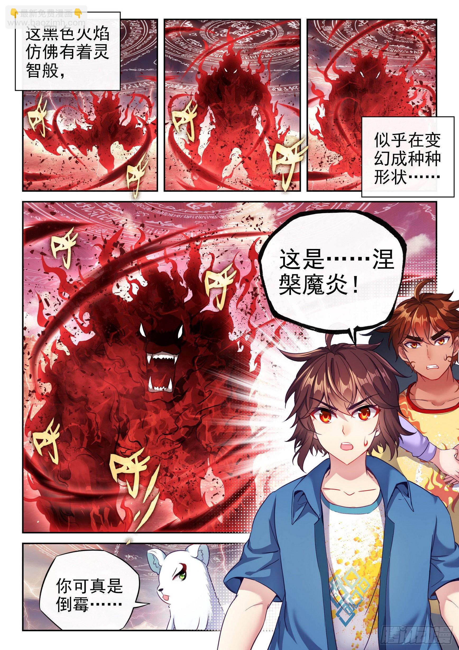《武动干坤》168 涅盘焚天阵 第10页