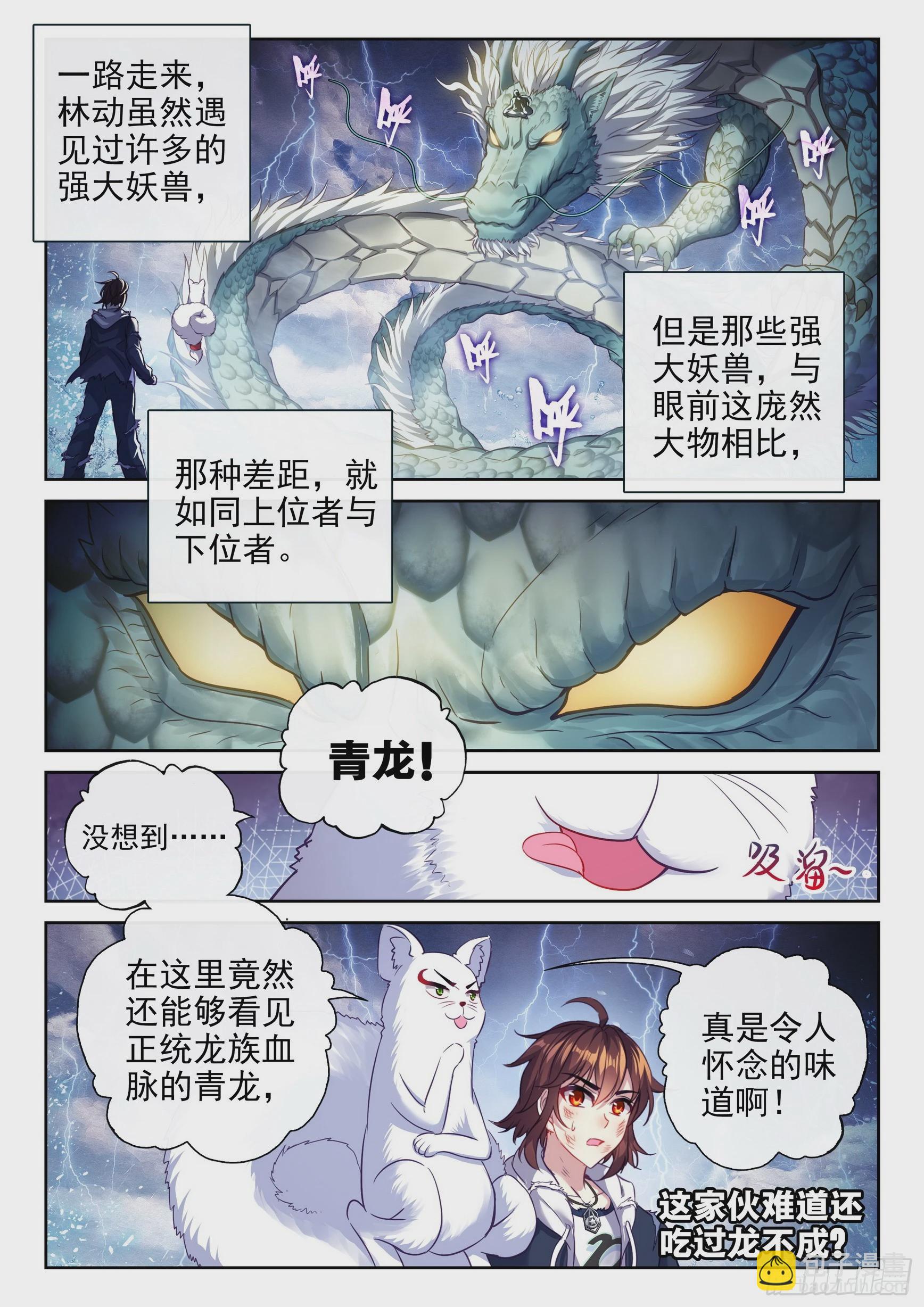 《武动干坤》190 神秘的青雉 第2页