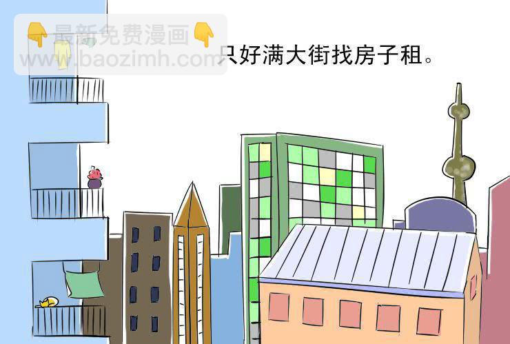 《女屌丝的爱情》三 蜗居生活 第3页