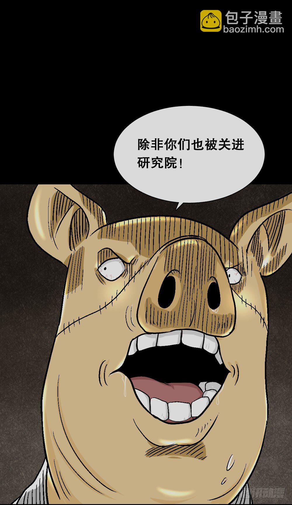 《怪奇笔记（怪奇脑洞集）》猪头人（4） 第29页