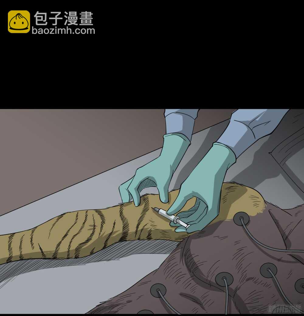 《怪奇笔记（怪奇脑洞集）》野味（4） 第37页