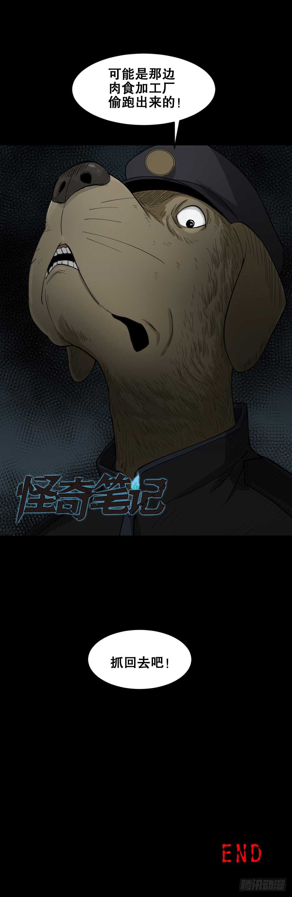《怪奇笔记（怪奇脑洞集）》越狱（4） 第43页