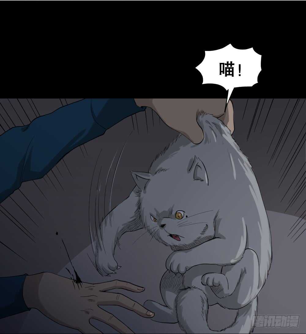 《怪奇笔记（怪奇脑洞集）》动物妈妈（4） 第26页