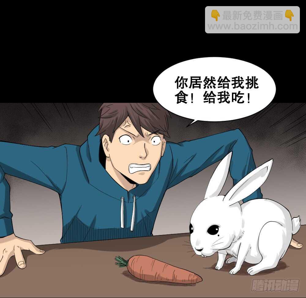 《怪奇笔记（怪奇脑洞集）》动物妈妈（4） 第2页