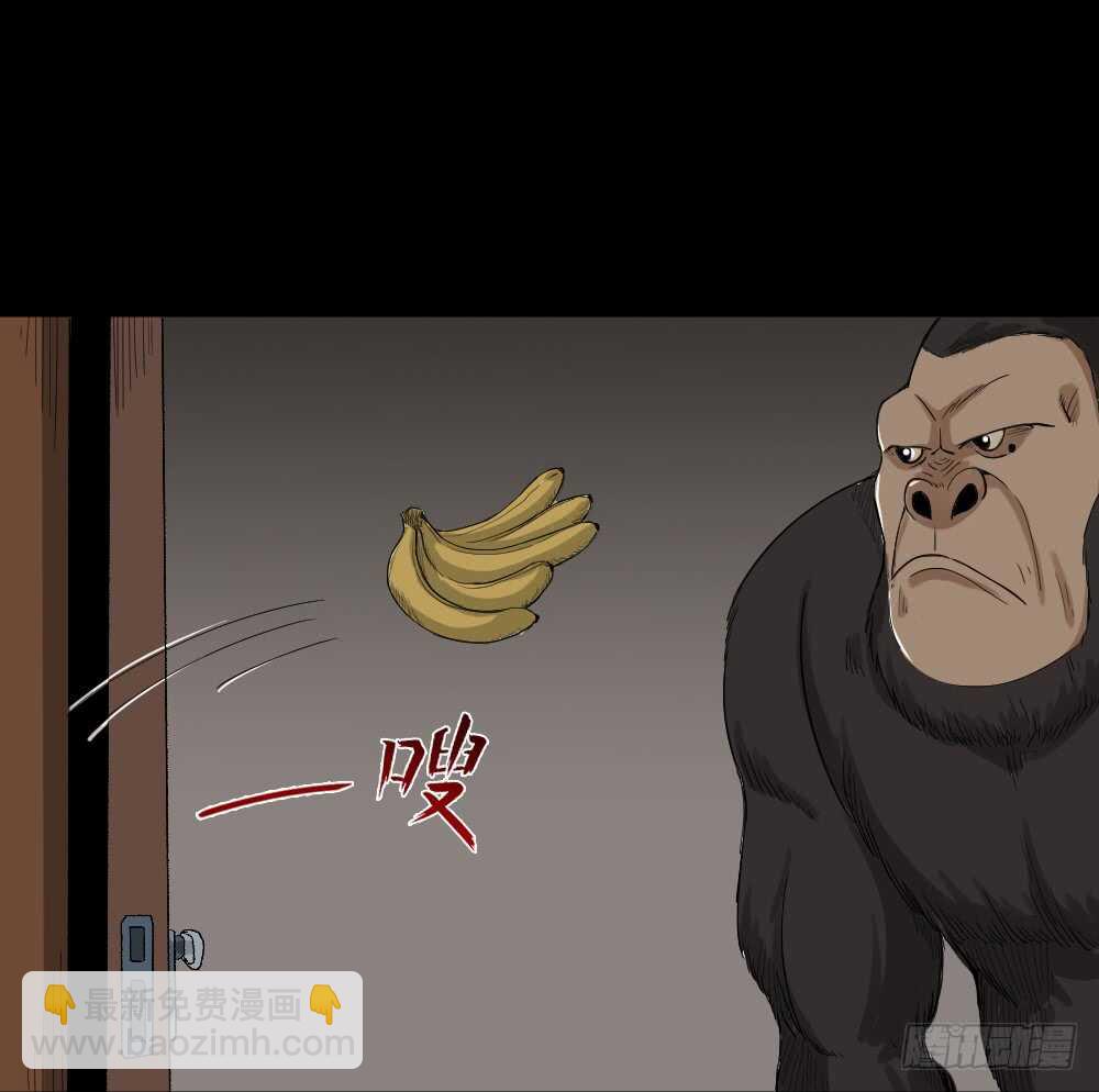 《怪奇笔记（怪奇脑洞集）》动物妈妈（4） 第3页