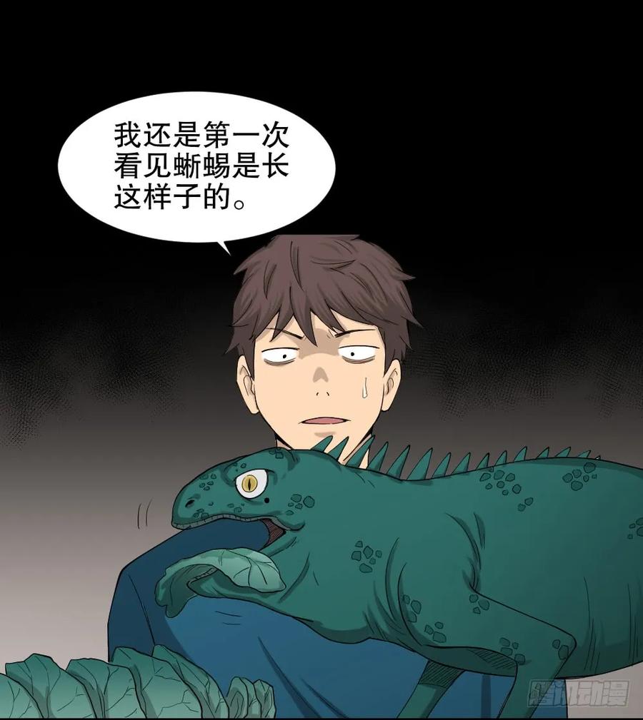 《怪奇笔记（怪奇脑洞集）》动物妈妈（3） 第19页