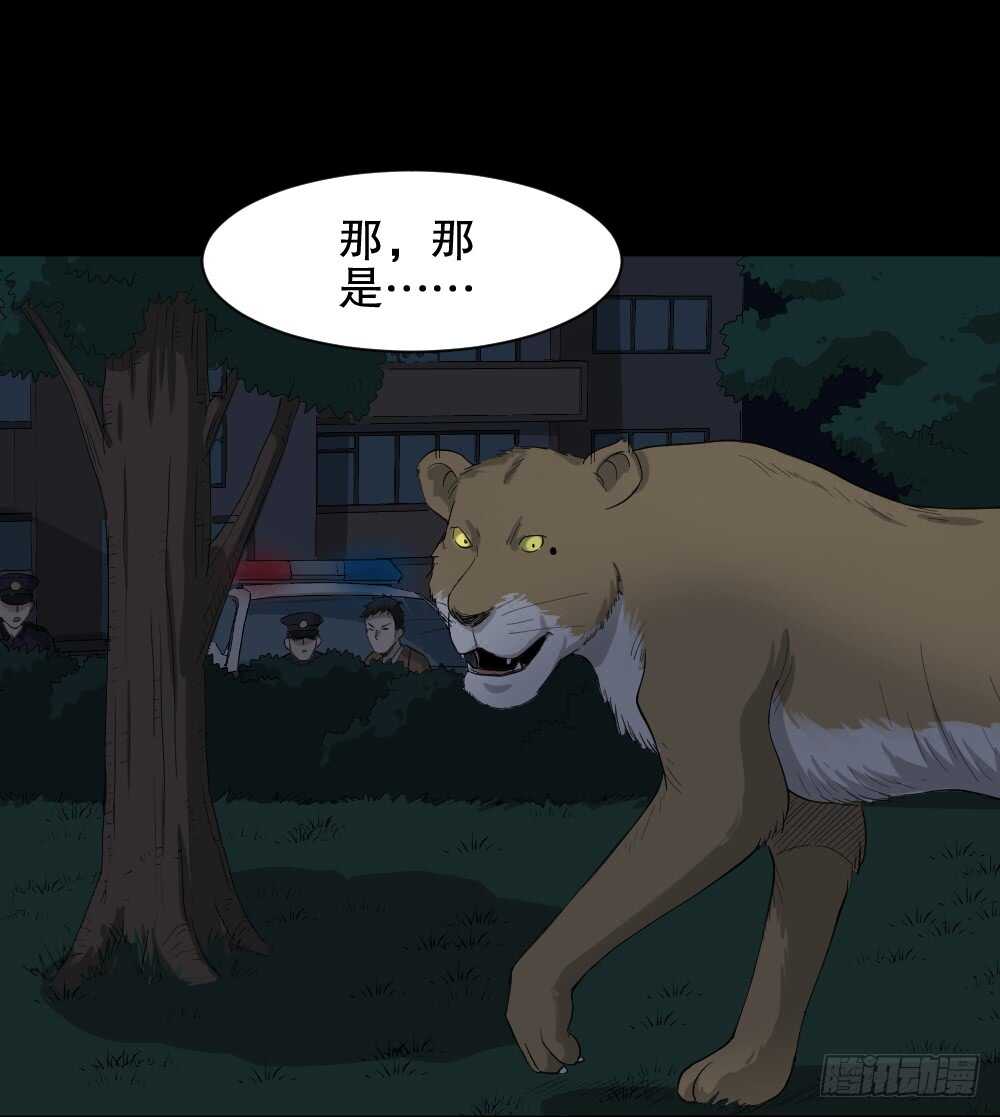 《怪奇笔记（怪奇脑洞集）》动物妈妈（5） 第41页