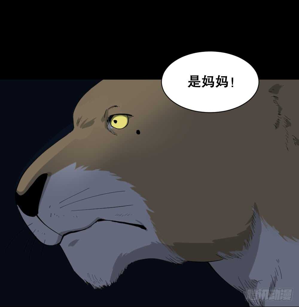 《怪奇笔记（怪奇脑洞集）》动物妈妈（5） 第42页