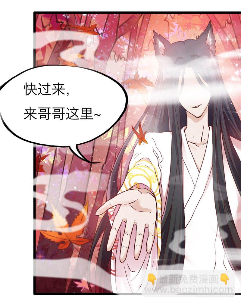 《抱紧我的小白龙》天海千幻云中仙，有狐长情思无绝 第37页