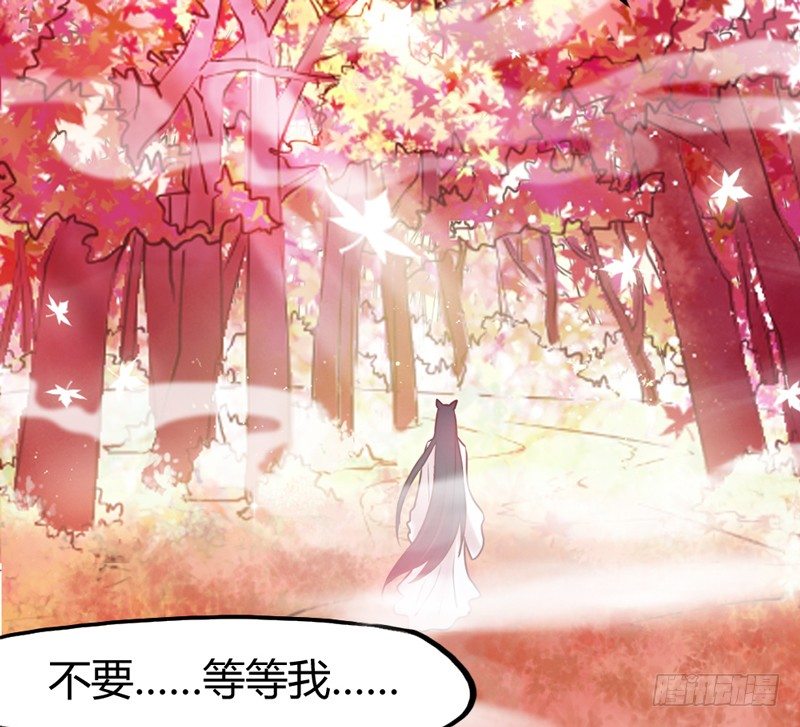《抱紧我的小白龙》天海千幻云中仙，有狐长情思无绝 第45页