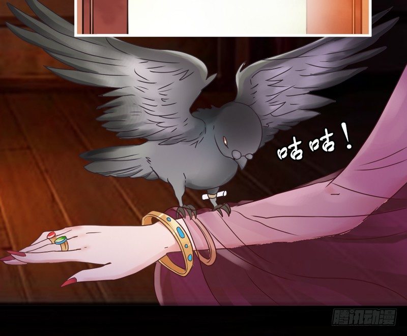 《抱紧我的小白龙》跟我走 第21页