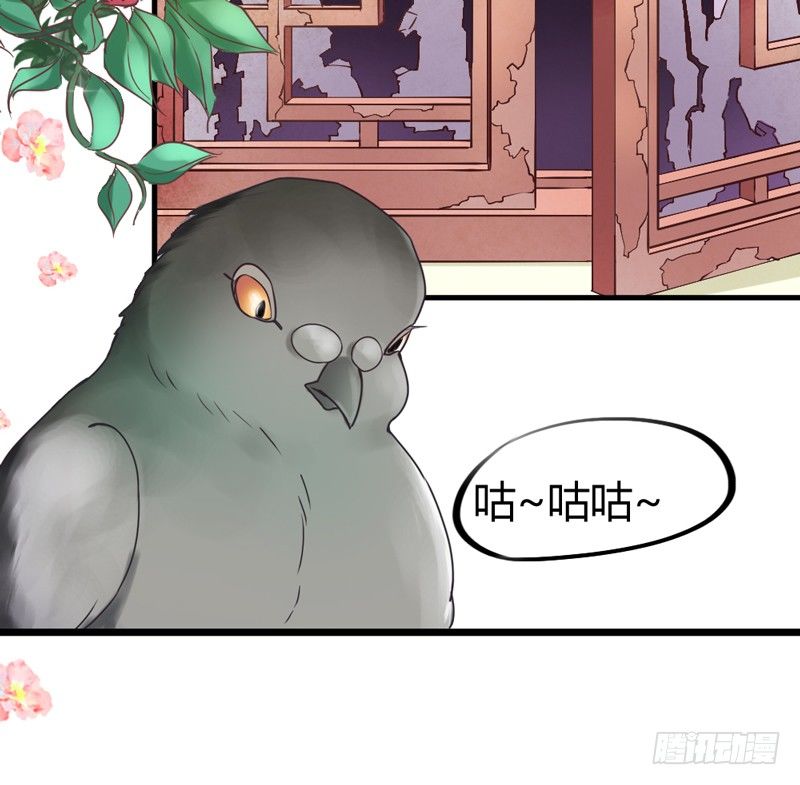 《抱紧我的小白龙》跟我走 第6页