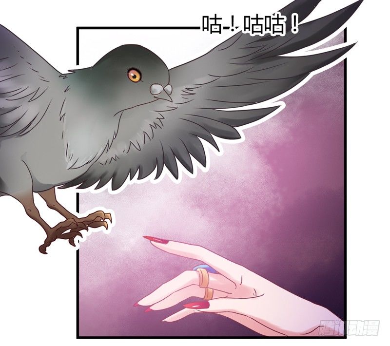 《抱紧我的小白龙》情至深处，烈火焚心犹不悔 第34页
