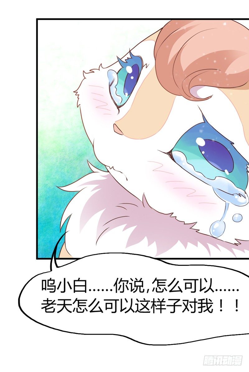 《抱紧我的小白龙》我很伤心 第35页