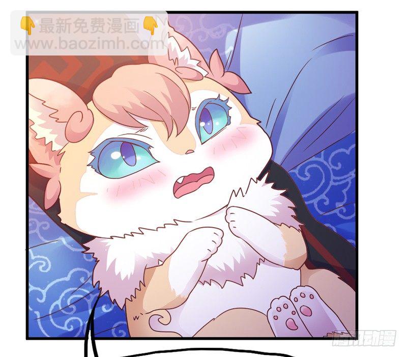 《抱紧我的小白龙》绚烂烟花你的美 第10页