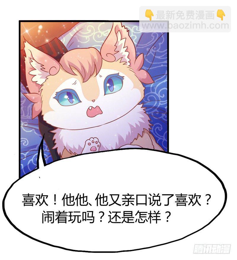 《抱紧我的小白龙》绚烂烟花你的美 第3页
