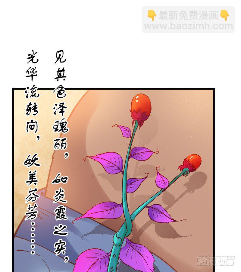 《抱紧我的小白龙》公子小白暖又萌，吾之良配也 第36页