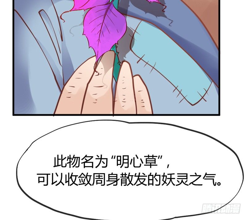 《抱紧我的小白龙》公子小白暖又萌，吾之良配也 第37页
