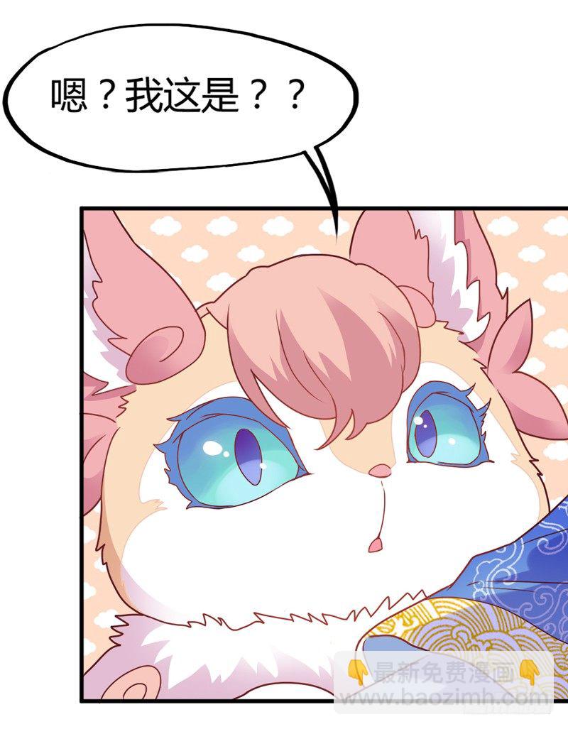 《抱紧我的小白龙》醒来啥都没 第8页