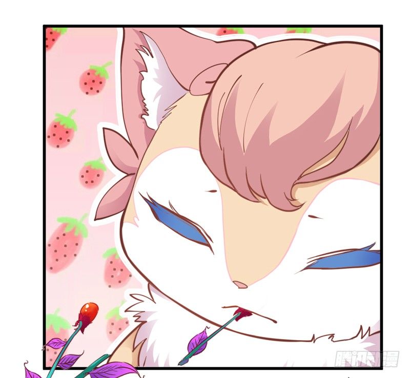 《抱紧我的小白龙》有点奇怪呢 第24页