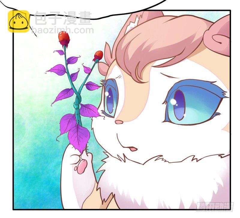 《抱紧我的小白龙》有点奇怪呢 第3页