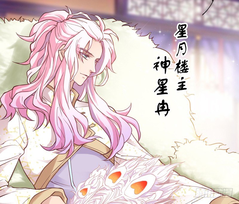 《抱紧我的小白龙》狐狸不知当家难 第13页