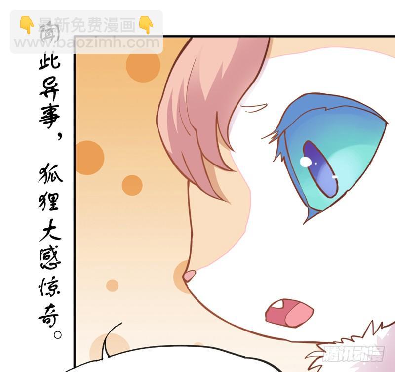 《抱紧我的小白龙》世有小狐瑶瑶，乃吾好逑 第11页