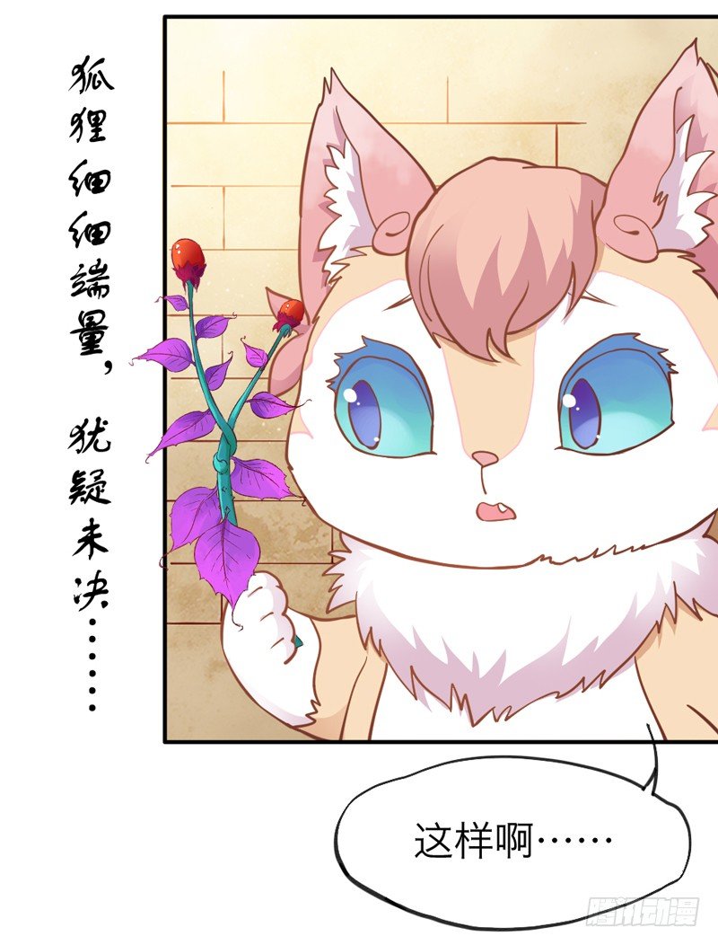 《抱紧我的小白龙》世有小狐瑶瑶，乃吾好逑 第18页