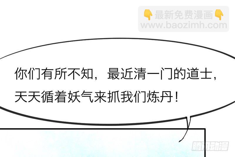 《抱紧我的小白龙》世有小狐瑶瑶，乃吾好逑 第8页