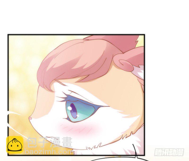 《抱紧我的小白龙》执子之爪，与子共赏世间繁华 第18页