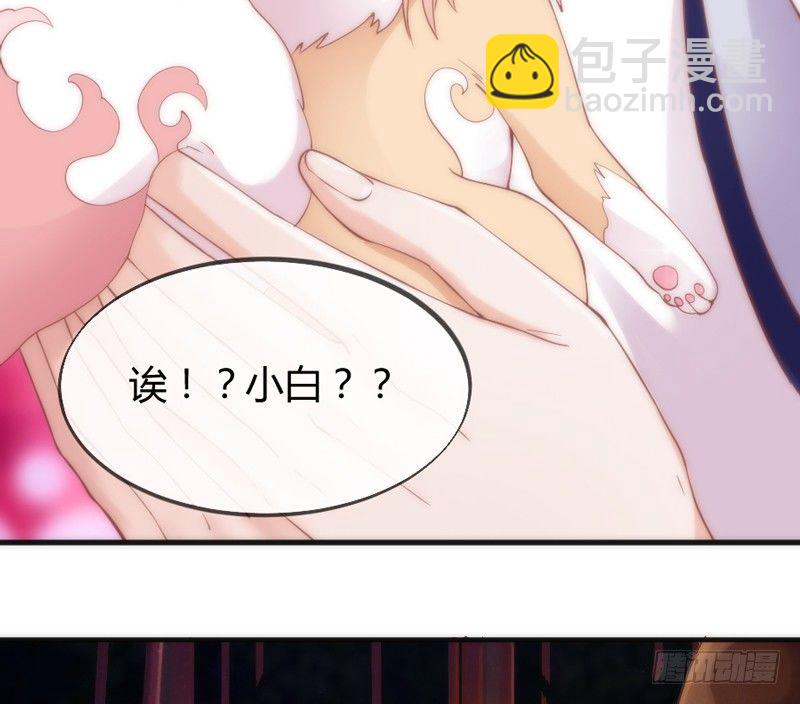 《抱紧我的小白龙》执子之爪，与子共赏世间繁华 第3页