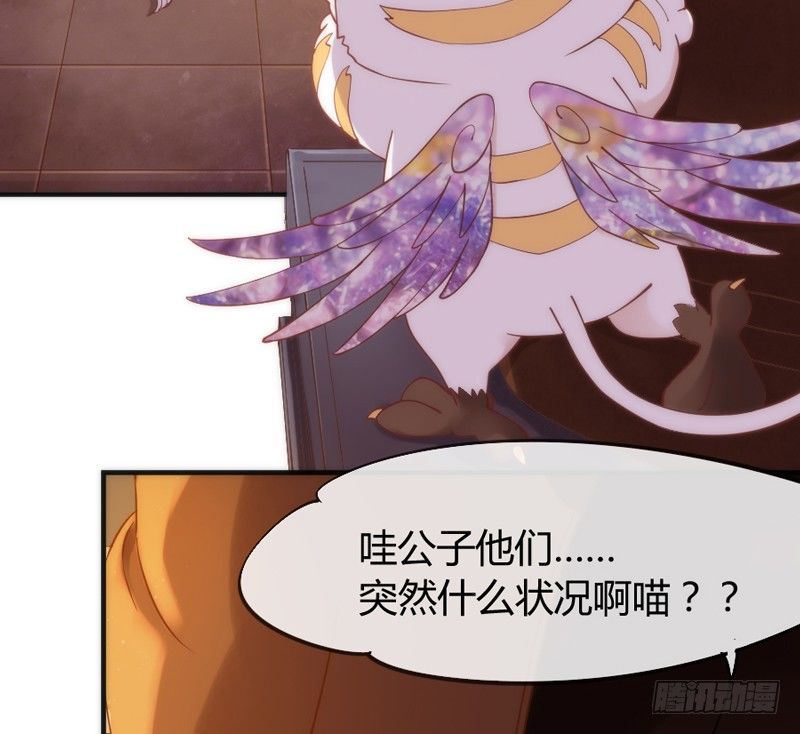 《抱紧我的小白龙》执子之爪，与子共赏世间繁华 第5页