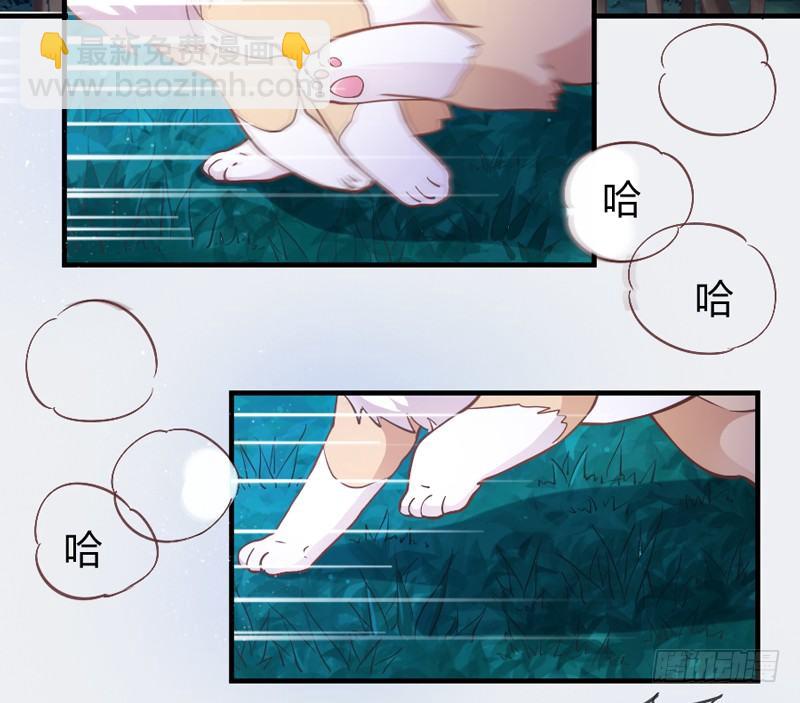 《抱紧我的小白龙》小白！我可能再也见不到你了！ 第29页
