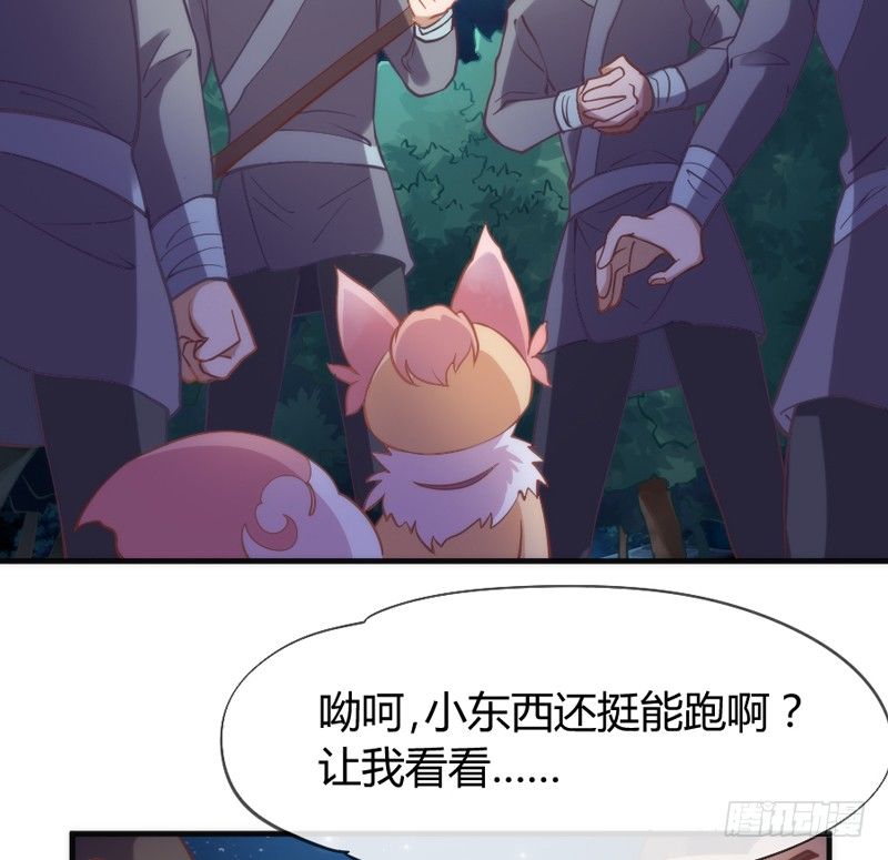 《抱紧我的小白龙》小白！我可能再也见不到你了！ 第36页