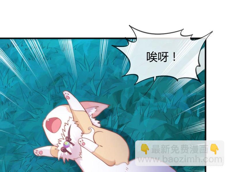 《抱紧我的小白龙》小白！我可能再也见不到你了！ 第42页
