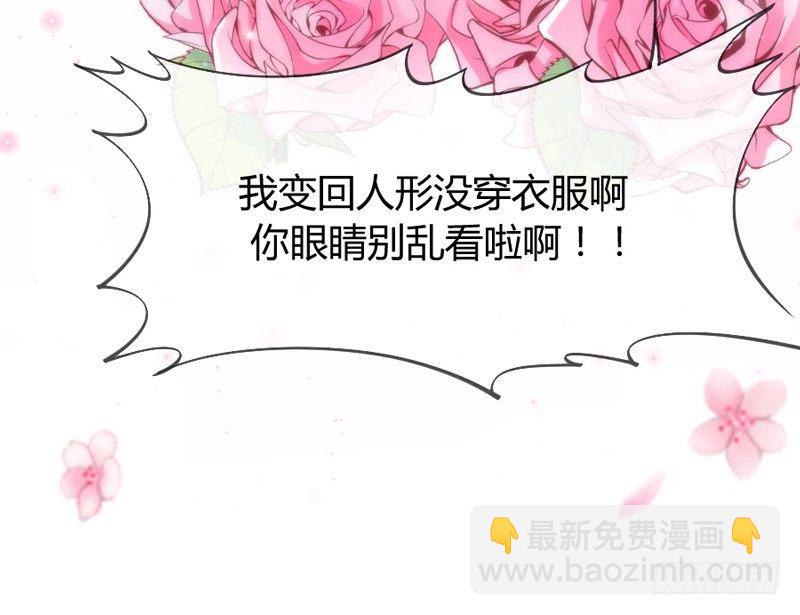 《抱紧我的小白龙》谁在敲门？ 第8页