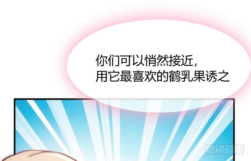 《抱紧我的小白龙》月夜浪漫，想和你一起亡命天涯！ 第44页