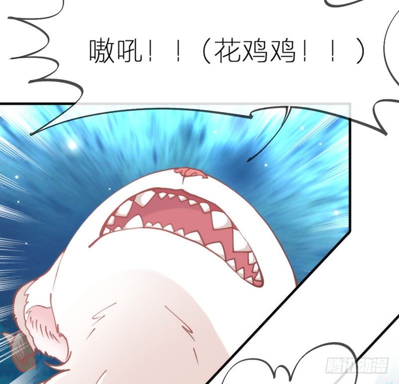 《抱紧我的小白龙》这心情谁懂？ 第13页
