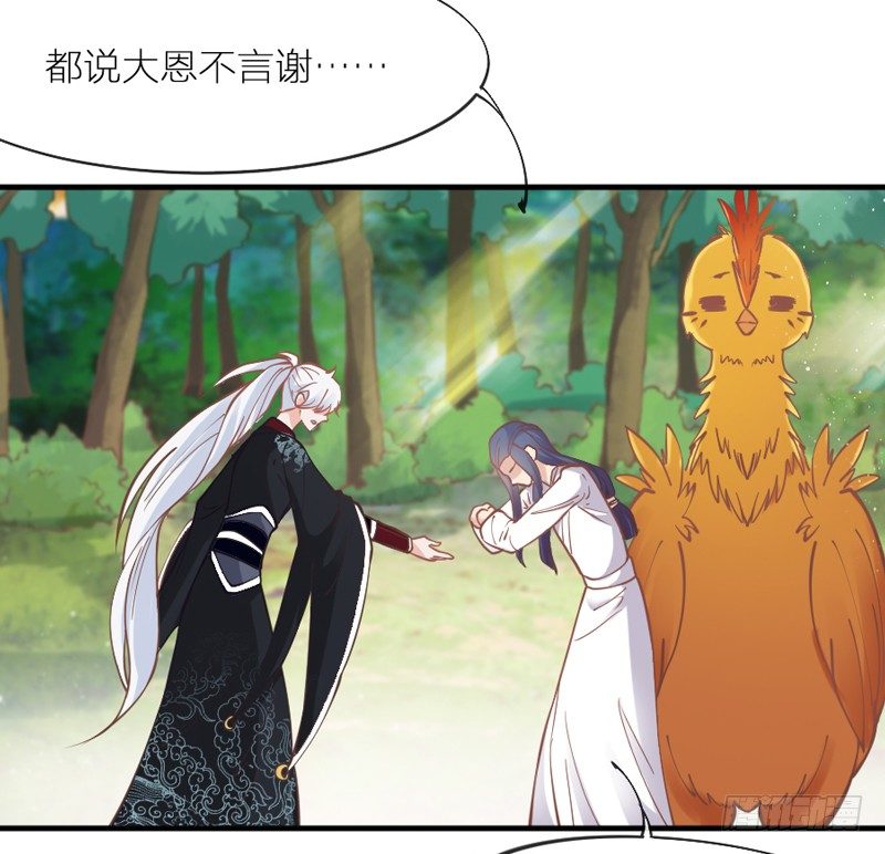《抱紧我的小白龙》也许在梦里我好像见过你 第28页