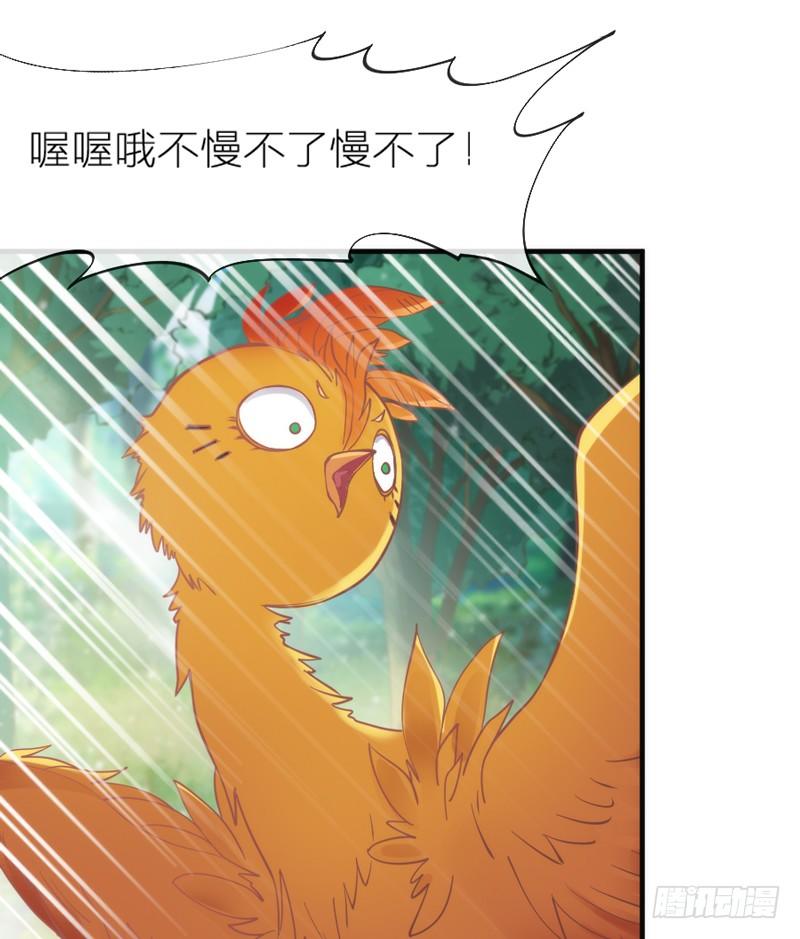 《抱紧我的小白龙》也许在梦里我好像见过你 第36页